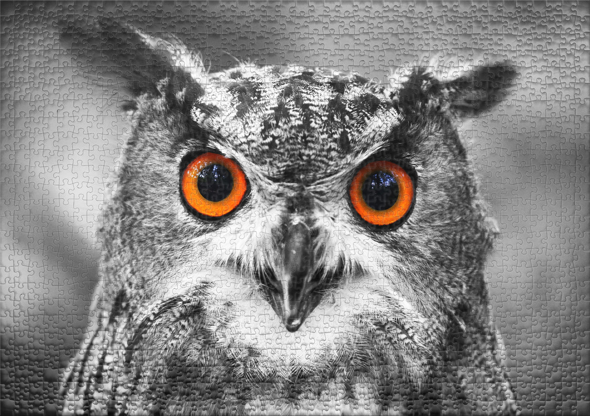 Vögel - Puzzle-Kollektion