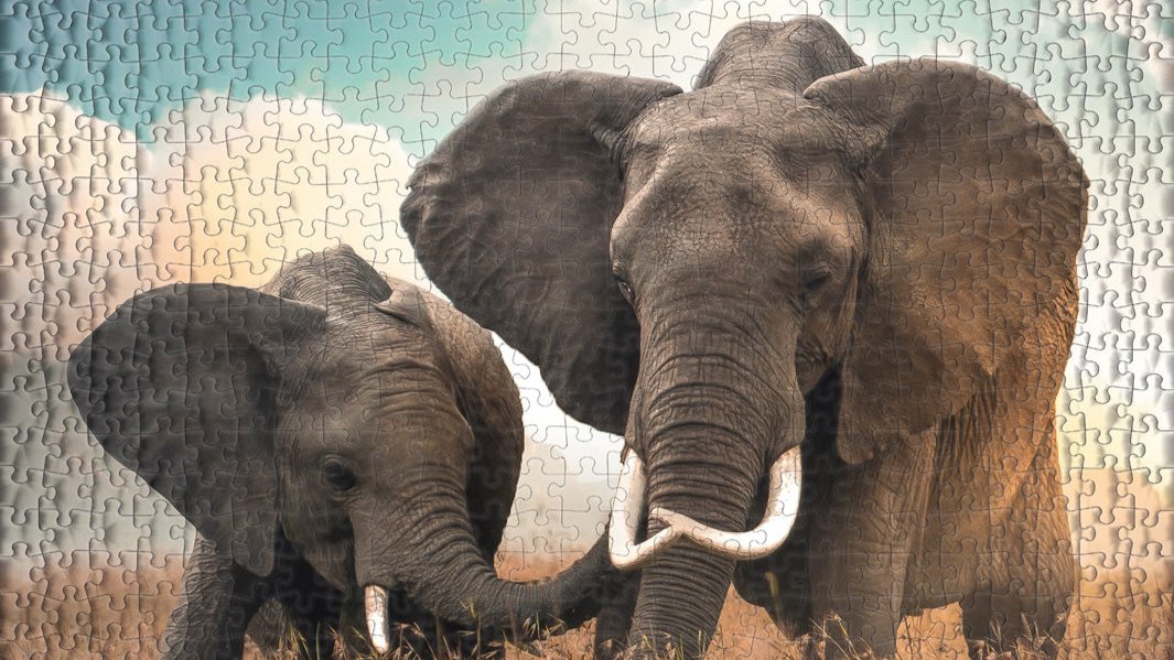 Afrika - Puzzle-Kollektion