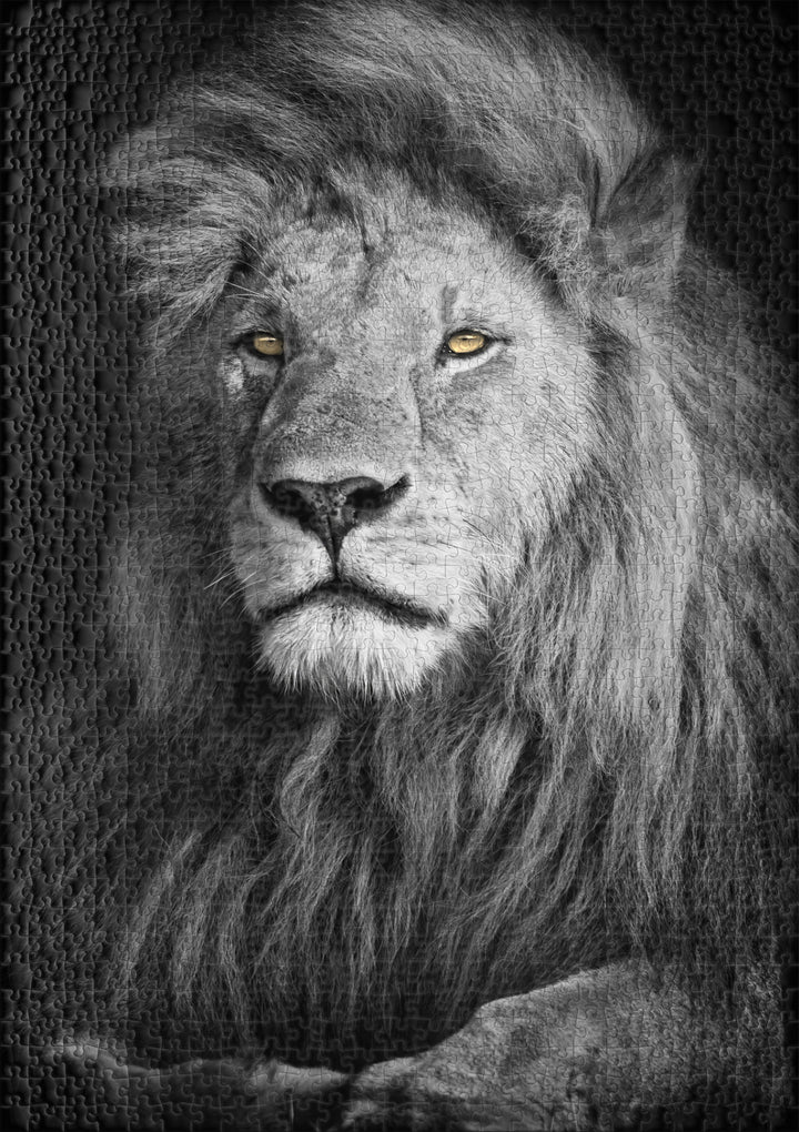 Lion Puzzle 1000 Pieces "King Romeo"