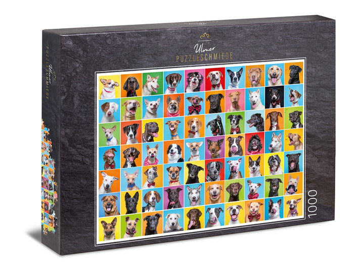 Puzzle 1000 pezzi "Cane colorato" - Collage