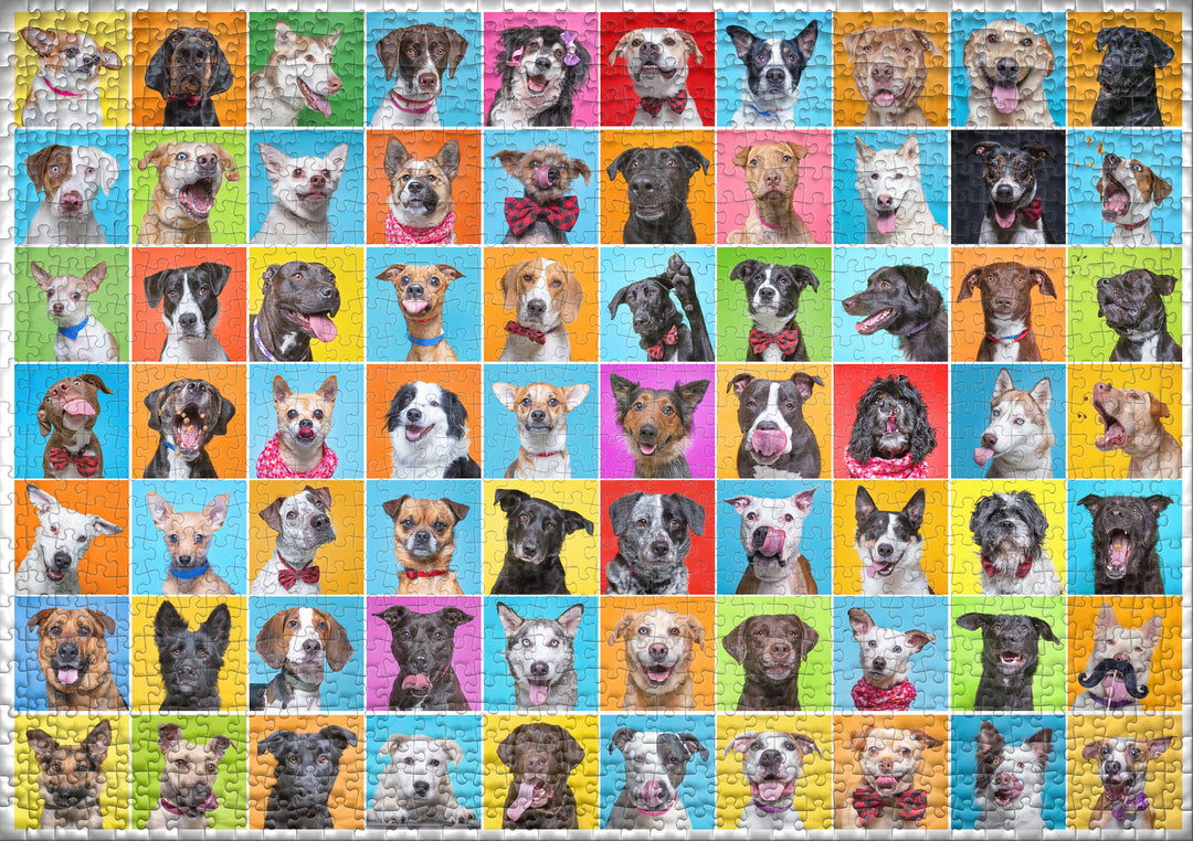 Puzzle 1000 pezzi "Cane colorato" - Collage
