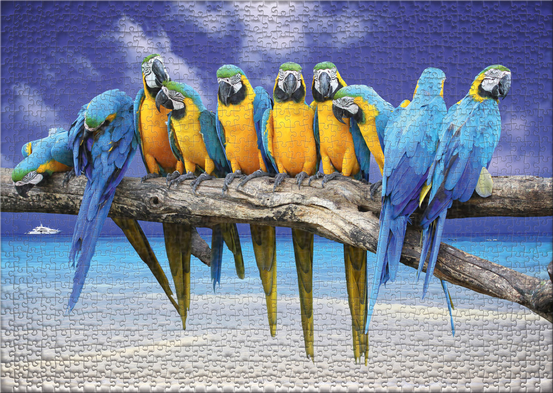 Puzzle 1000 pièces « Voyage en mer »