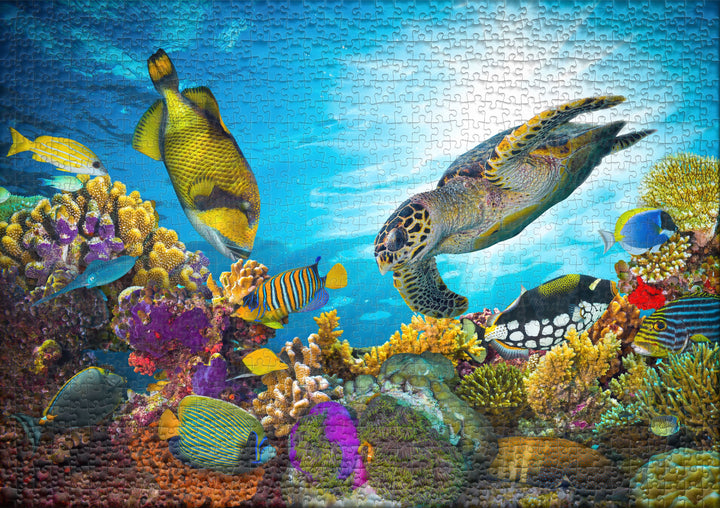 Puzzle 1000 pezzi "Mare di colori"