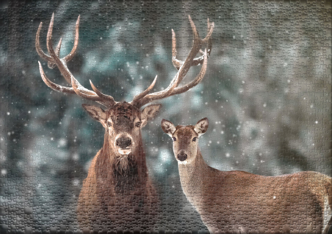 1000 Piece Puzzle "Outdoors for Two"