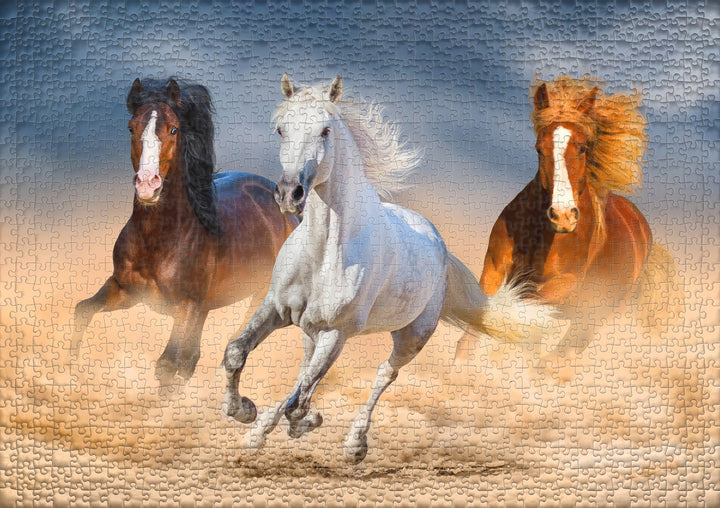 Puzzle 1000 pièces « Reines du désert »