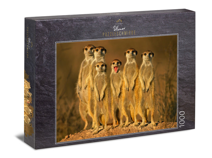 Puzzle 1000 pièces « Petit Effronté »
