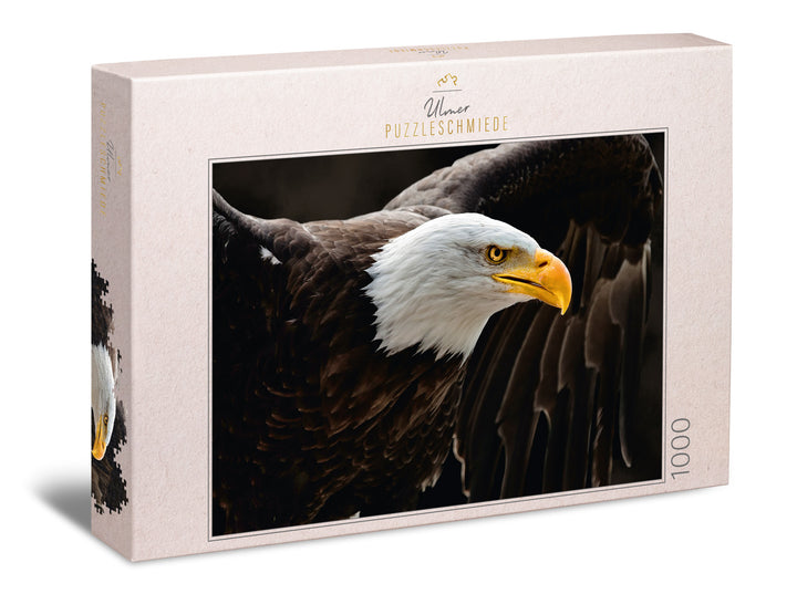 Puzzle 1000 pièces « L'Aigle de mer »