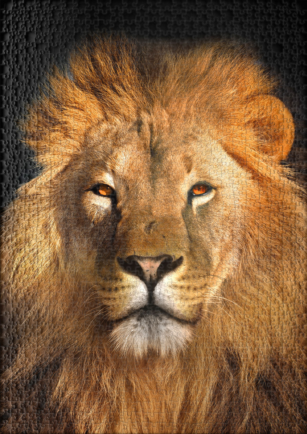 Puzzle 1000 pezzi "Ritratto del Re"