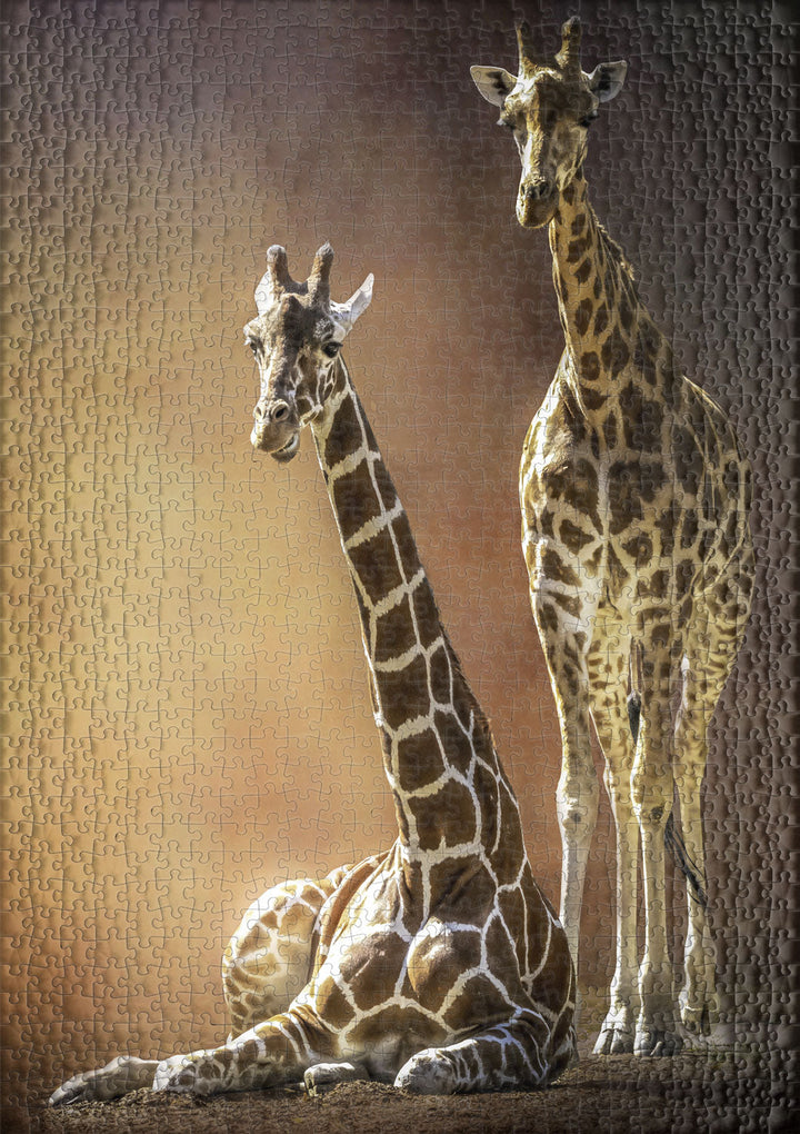 Puzzle 1000 pezzi "Giraffe Love"