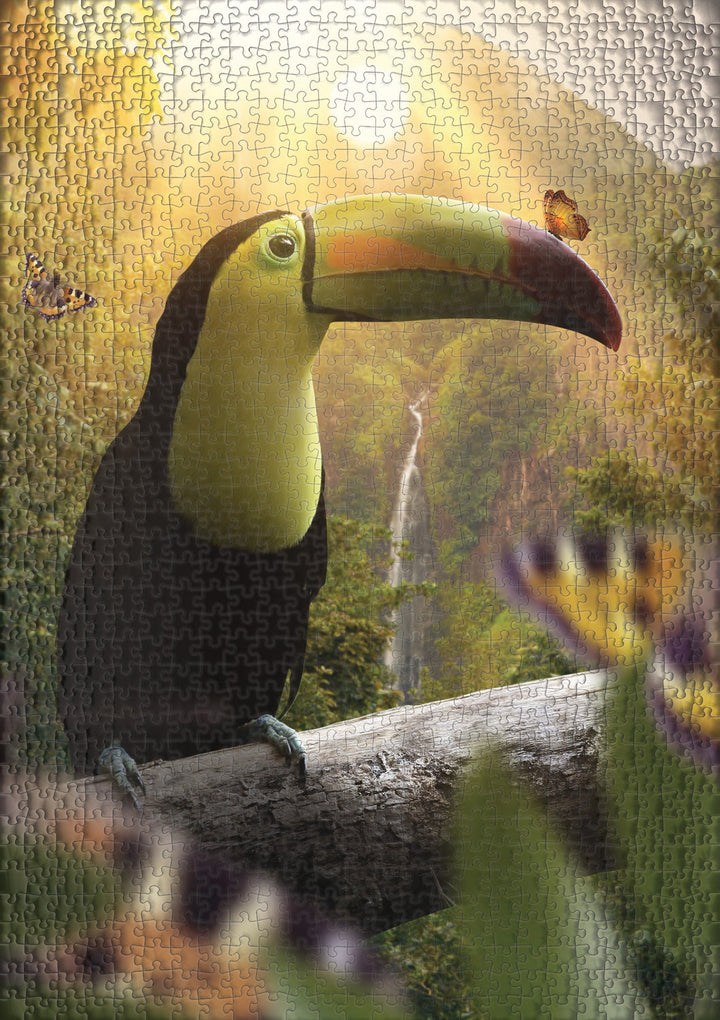 Puzzle 1000 pièces « Toucan et œil de paon »