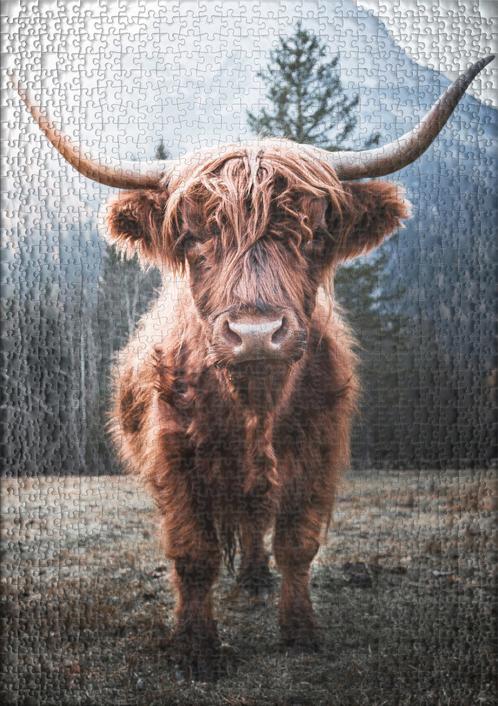 Puzzle 2000 Teile „Hochland" gelegt – Hochlandrinder in schottischer Landschaft – Ulmer Puzzleschmiede