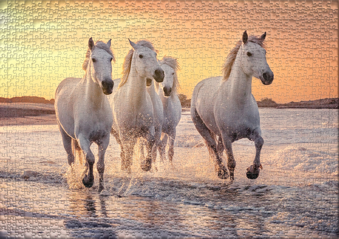 Puzzle 2000 Teile "Camargue-Pferde"