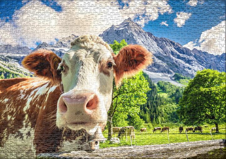 1000 Teile Puzzle Motiv nach eigener Wahl bereits gerahmt, schwarz