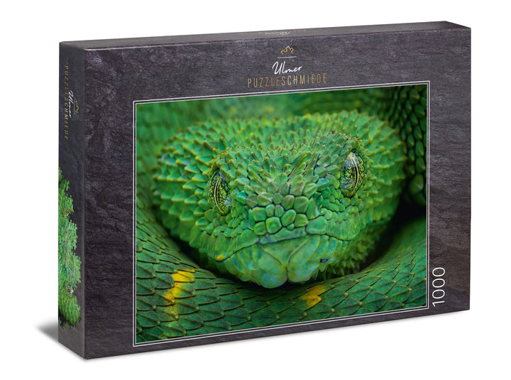 Puzzle 1000 Pieces "Poison Green"