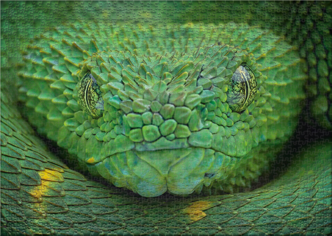 Puzzle 1000 Pieces "Poison Green"