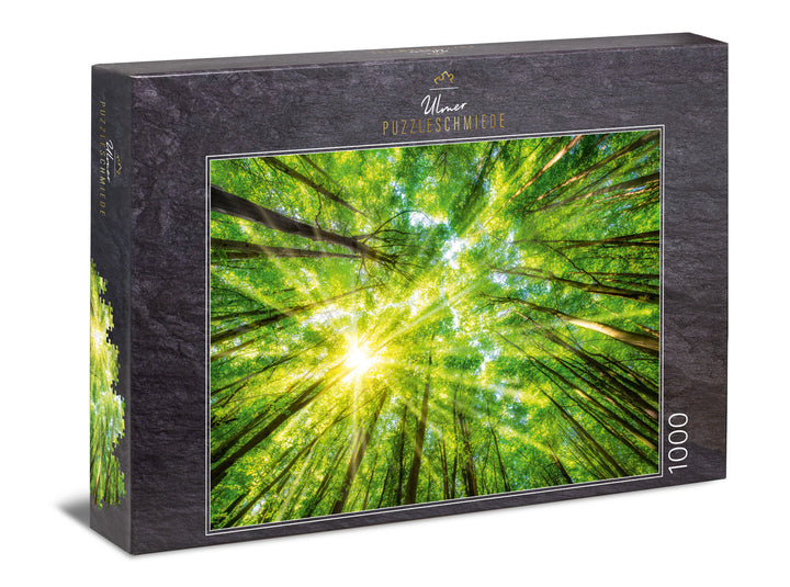 Puzzle 1000 pièces « Lumière et Ombre »