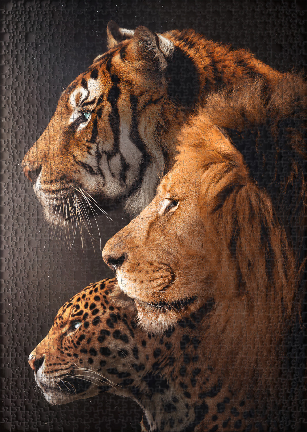 Big Cats Puzzle 1000 Pieces "The Big Three"