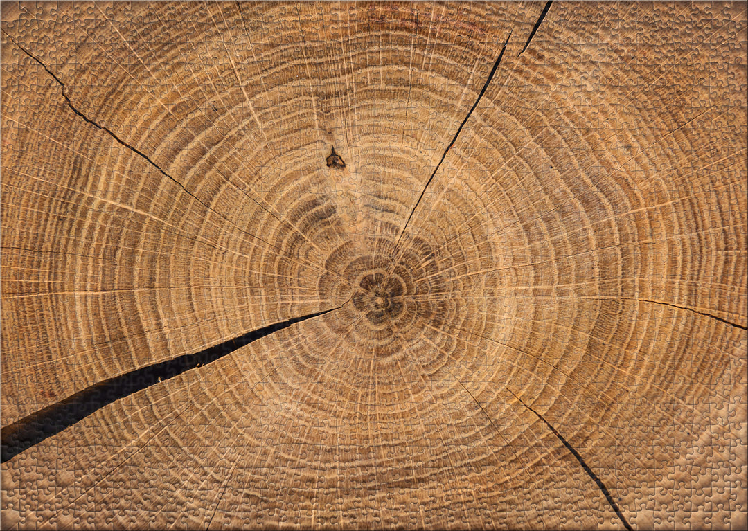 Puzzle impossible de 1000 pièces « Chronique en bois »