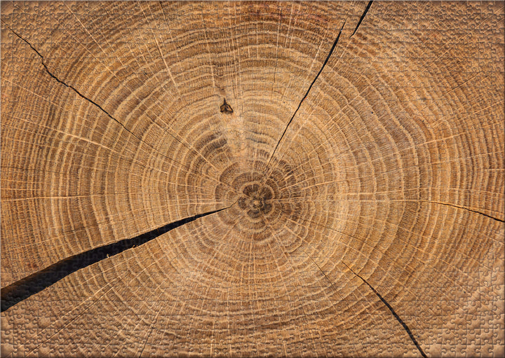 Puzzle impossible de 1000 pièces « Chronique en bois »