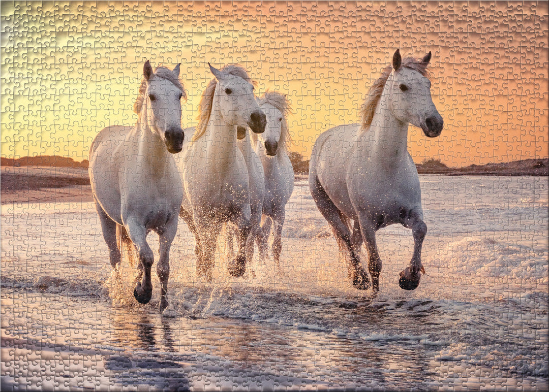 Puzzle 500 pezzi "Cavalli della Camargue"