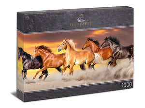 Panorama-Puzzle 1000 Teile "Sandsturm"